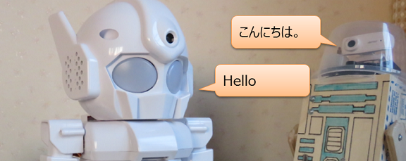 日本語から英語に翻訳するRECAIUSロボット(Rapiro)
